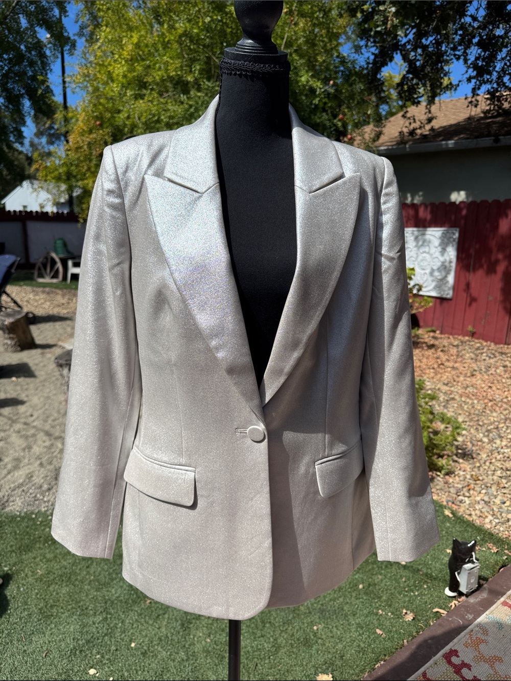 Express Metallic Silver Blazer